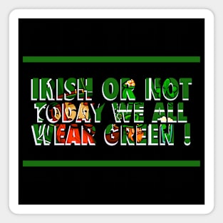 St patricks day Magnet